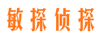 双城市私人侦探